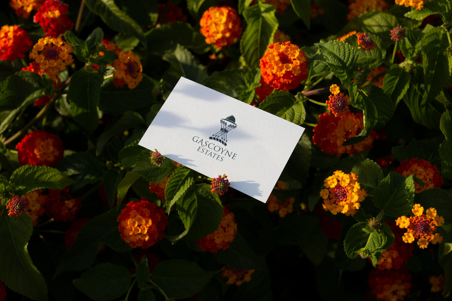 Gascoyne Estates Business Card Design
