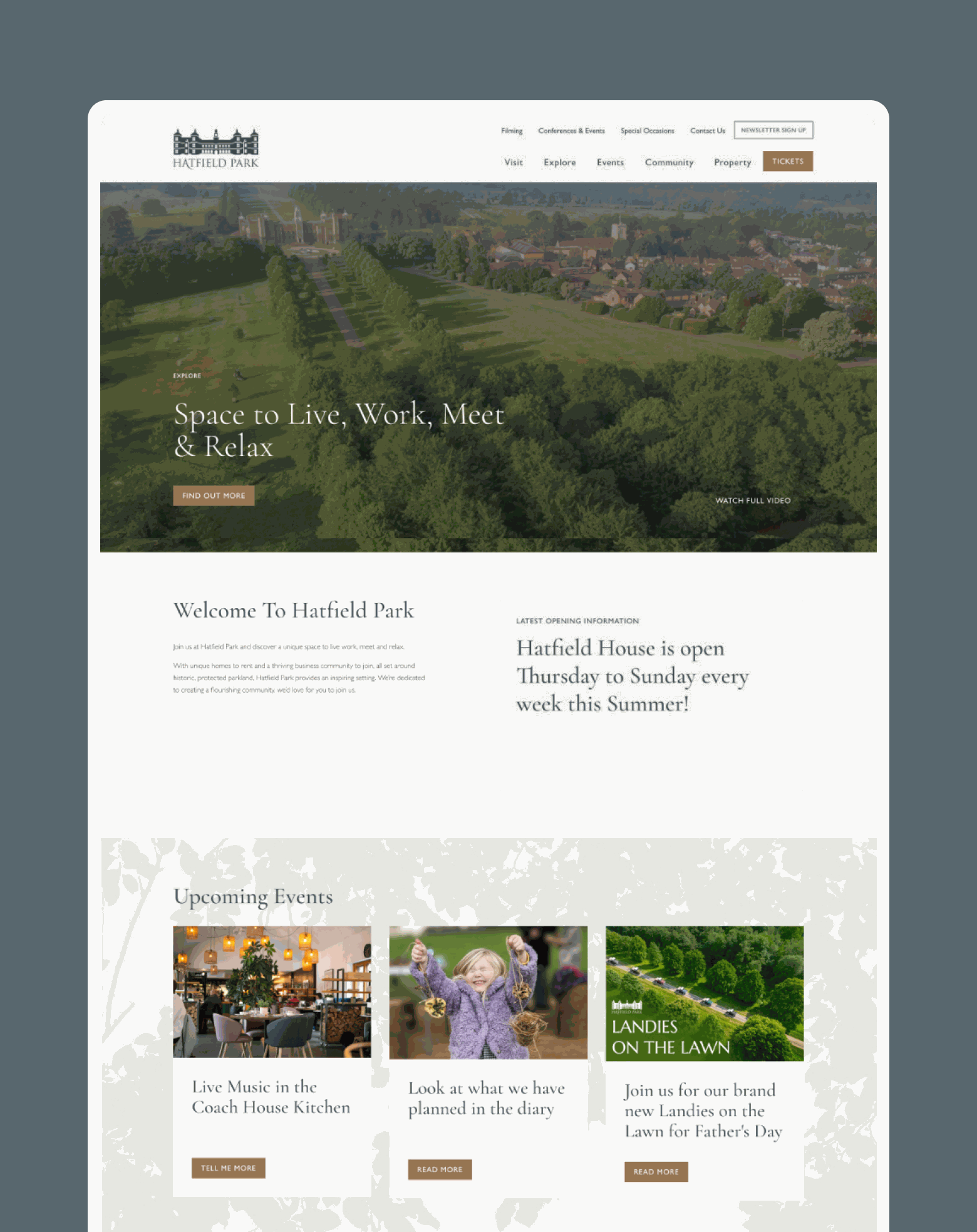 Web Design Hertfordshire - Howl & Bray